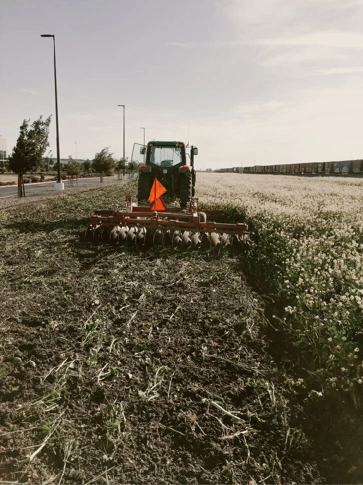Disking weed abatement with a tractor in a field of weeds