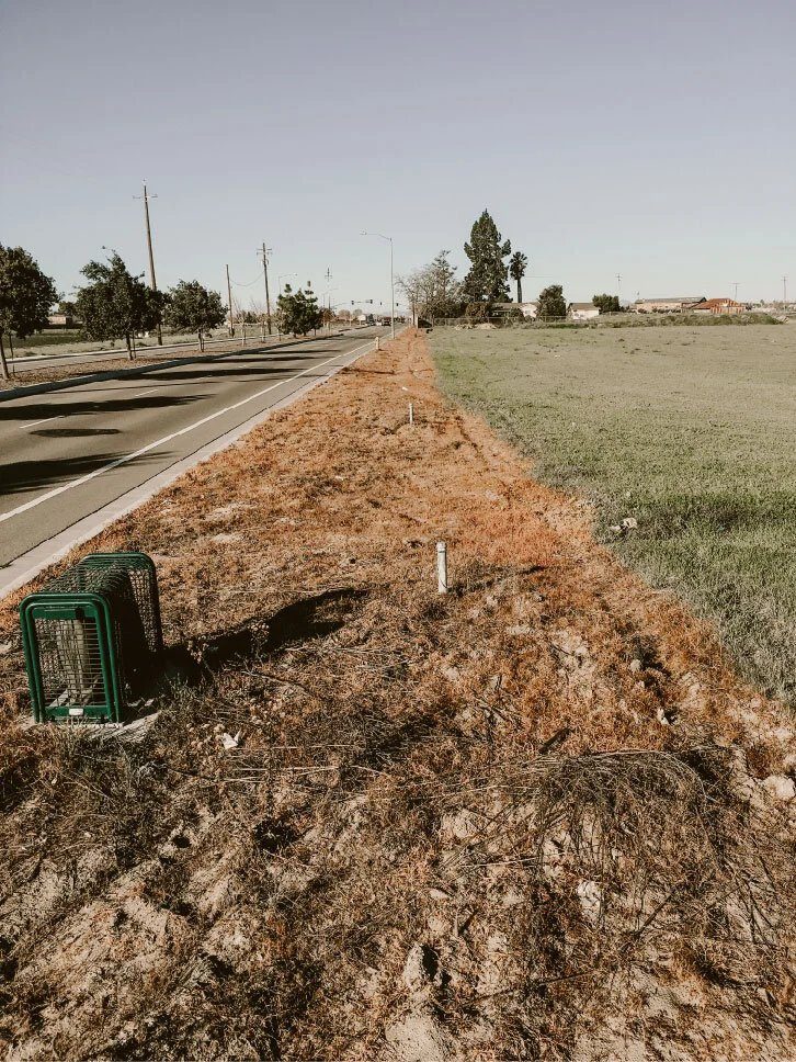 Roadside strip treated with herbicide application